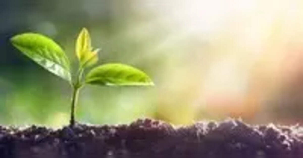 Radisson Hotel Group marks Earth Day 2026 with strong sustainability initiatives across India