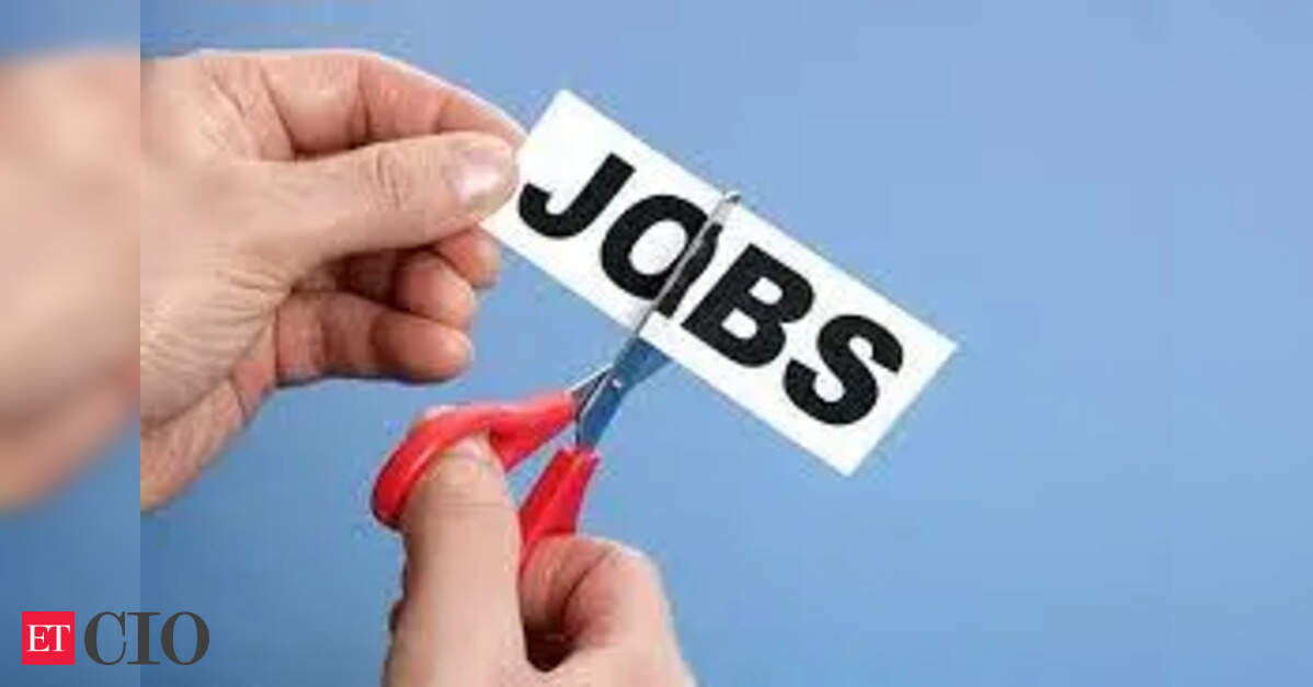 Meta plans more layoffs, may cut over 20% of workforce