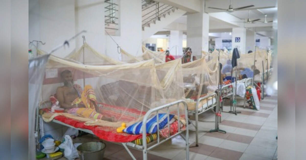 Dengue treatments in 2–3 years, but cases set to rise with climate change