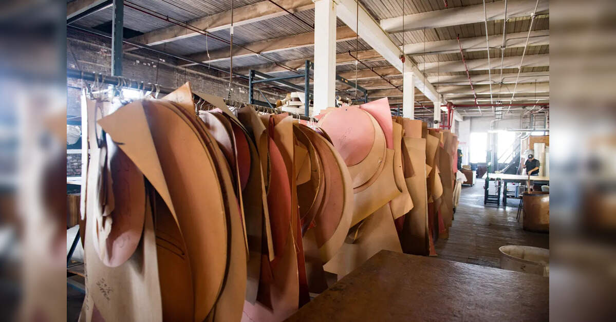 FTA with New Zealand to provide huge opportunities for Agra's leather exporters: Goyal