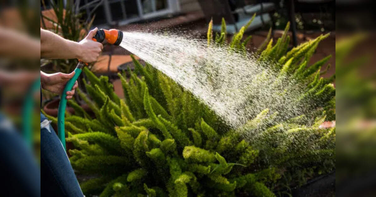 IMC mandates use of treated water for construction, service centres, gardens