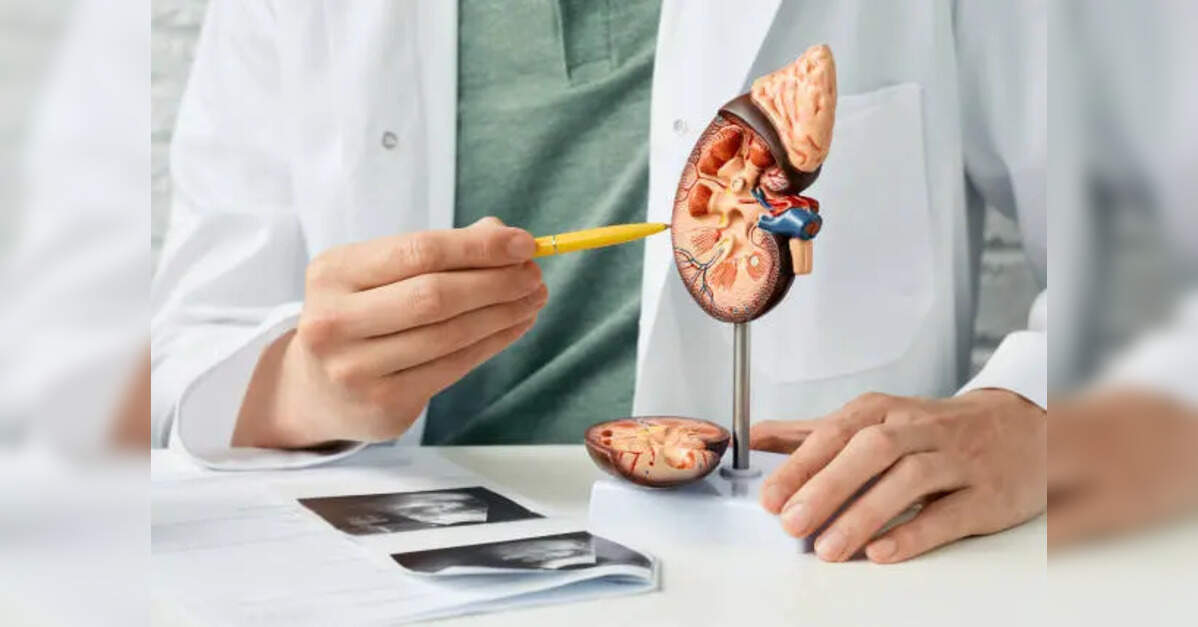 Summer heat triggers rise in kidney stones, UTIs, Doctors warn