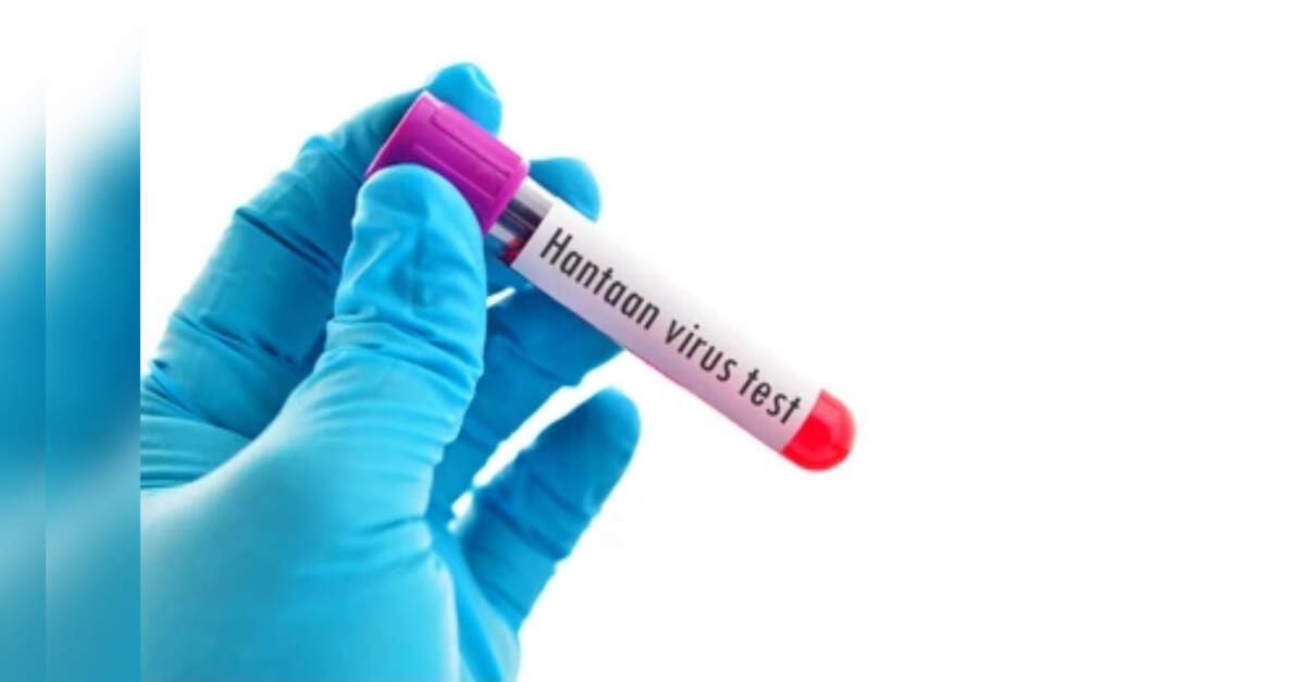 What is the hantavirus that killed three cruise ship passengers?