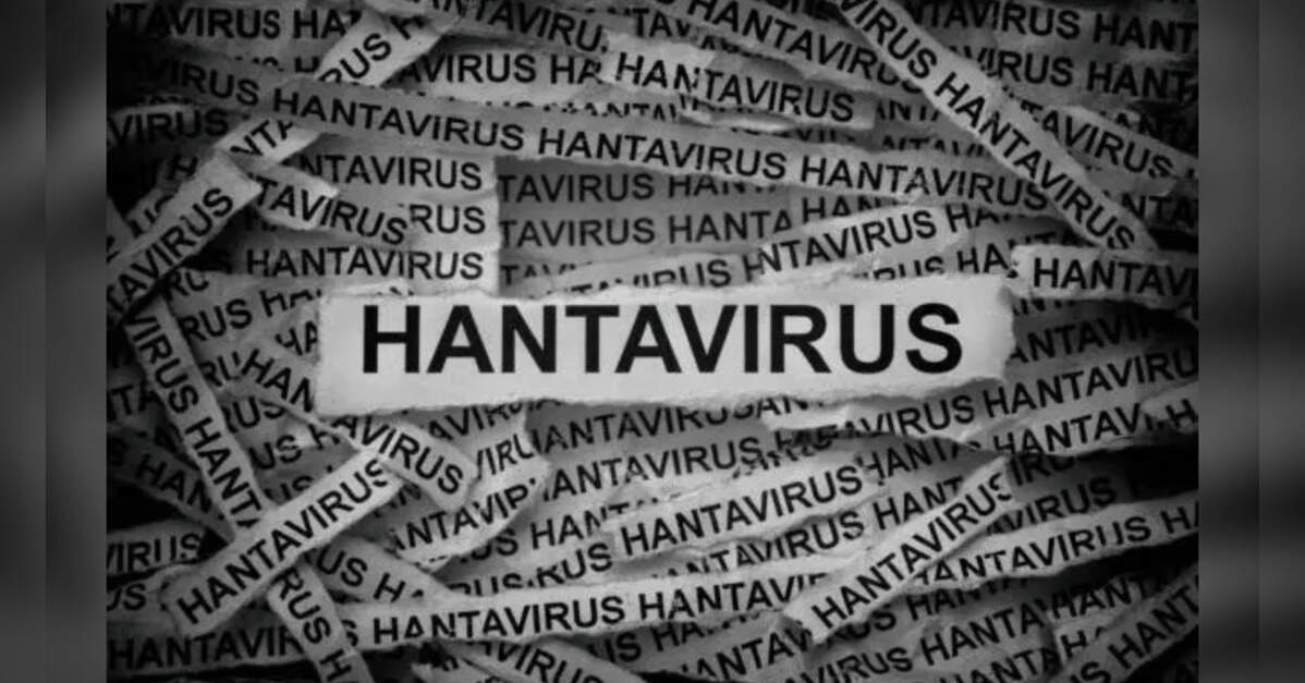 New hantavirus case suspected on remote island as contact tracing continues