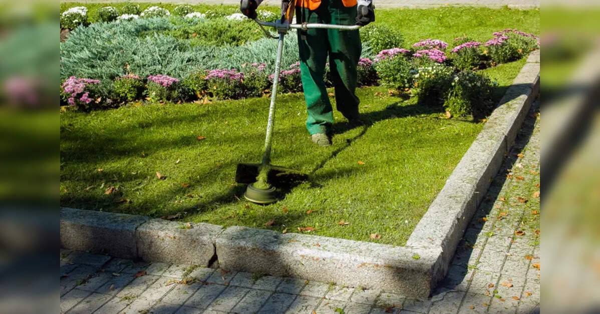 Delhi government plans higher funding for upkeep of parks, gardens
