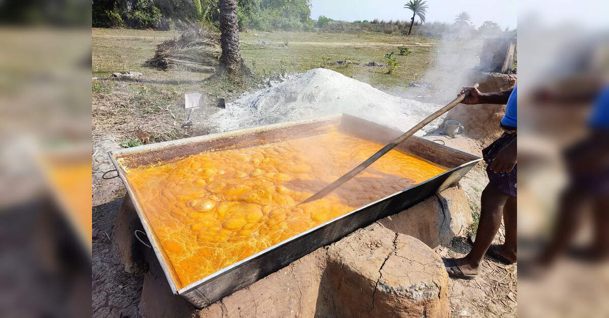 Ghazipur gets ₹15 cr jaggery-based food plant with Japanese collab, generate jobs for locals