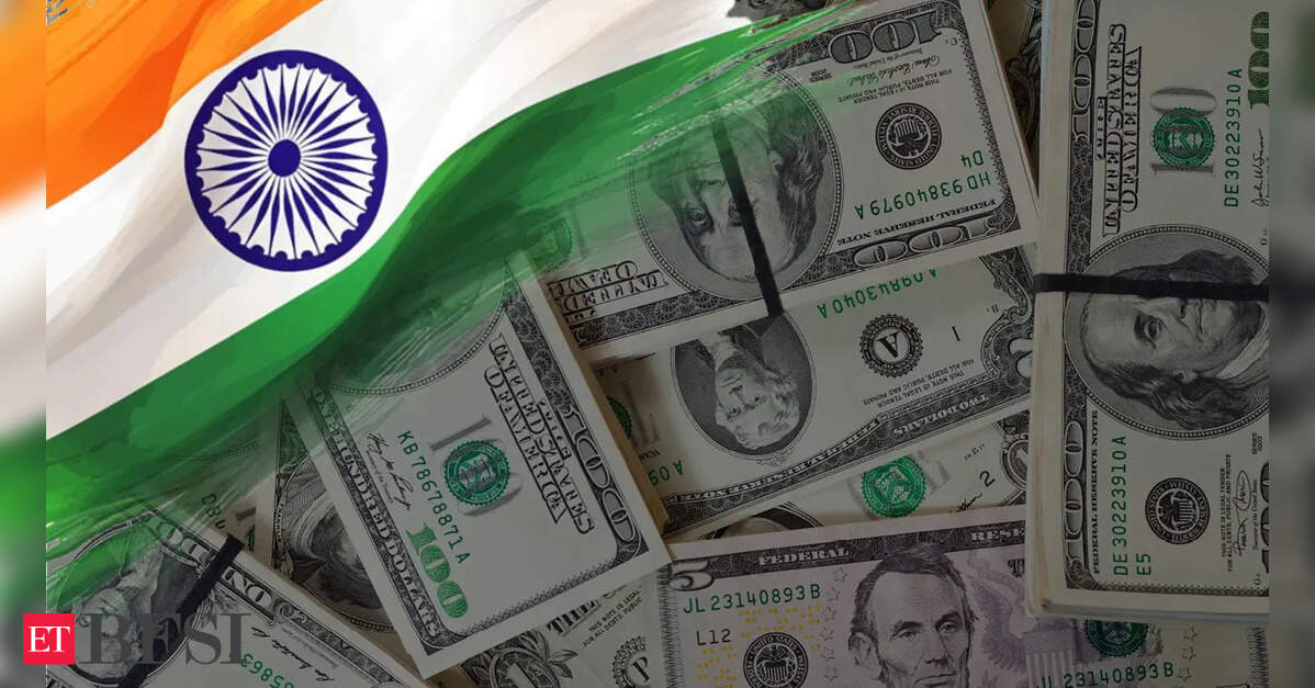 India's forex reserves jump by USD 6.295 bln to USD 696.988 bln