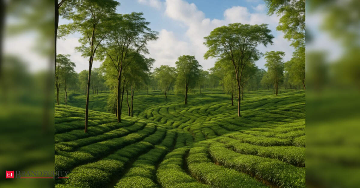 Assam tea estate bets on immersive tea tourism to reconnect consumers with beverage