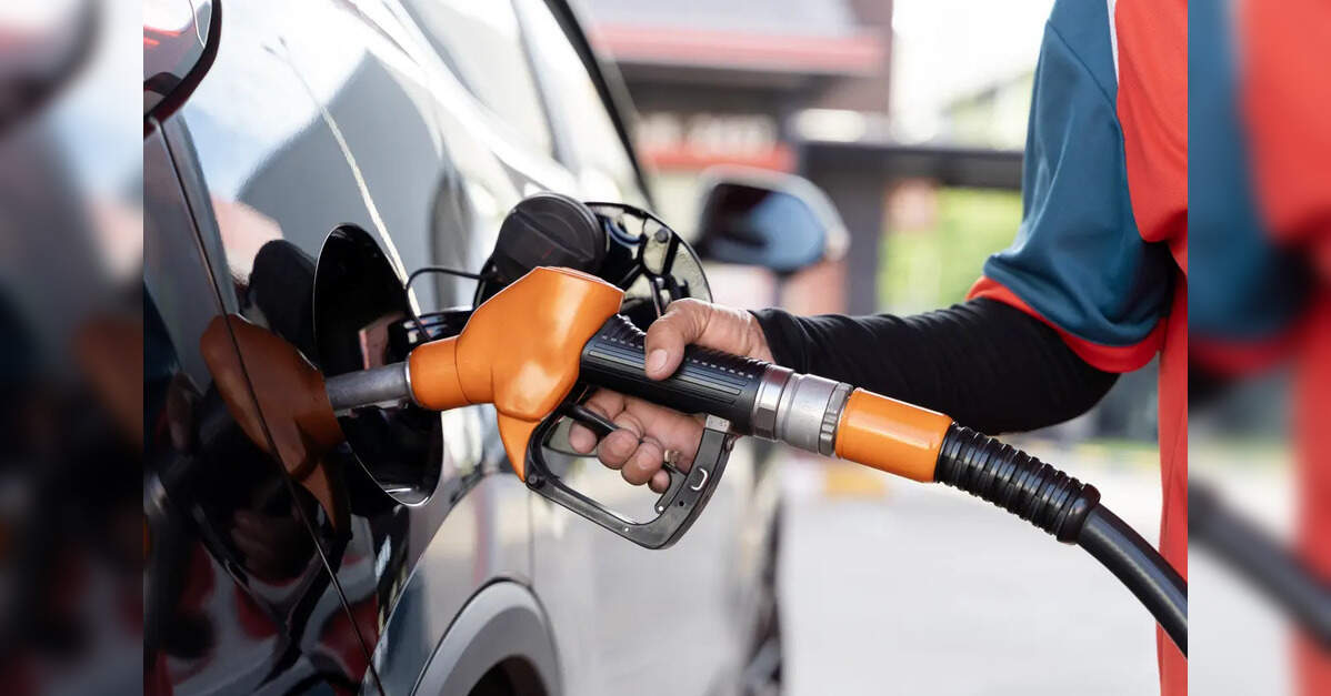 India may soon let consumers choose ethanol-blended petrol based on their cars: Report