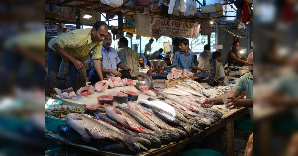 India's seafood exports hit record high in FY 2025-26: Frozen shrimp leads growth