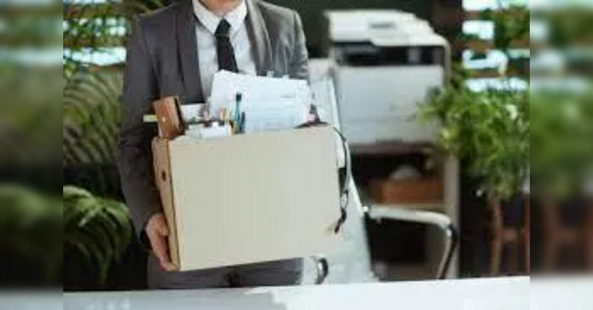 Job-Dropping: The Shift from Climbing the Corporate Ladder to Embracing ...
