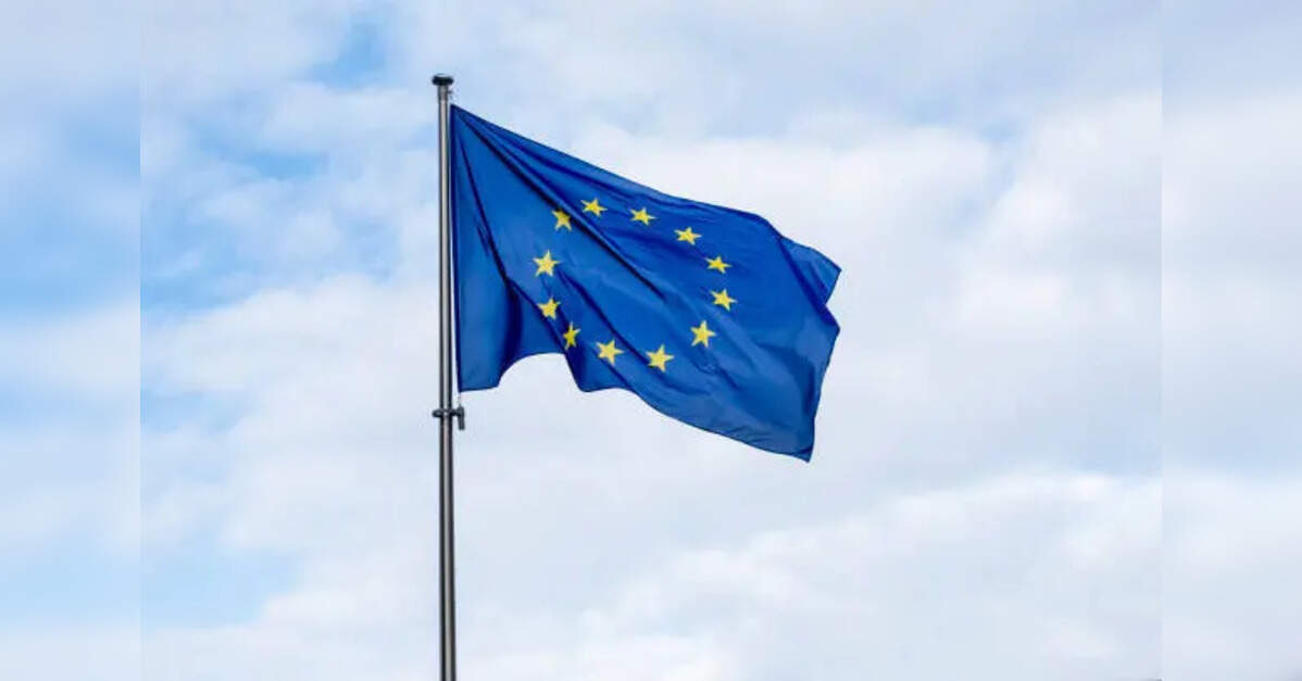 Employment rate among recent graduates in the EU rises to 83% in 2025