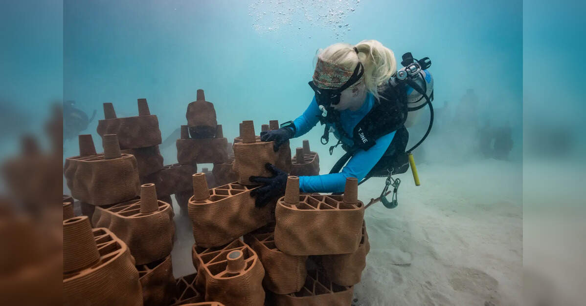 Ventive Hospitality launches Reef restoration initiative at Anantara Dhigu Maldives