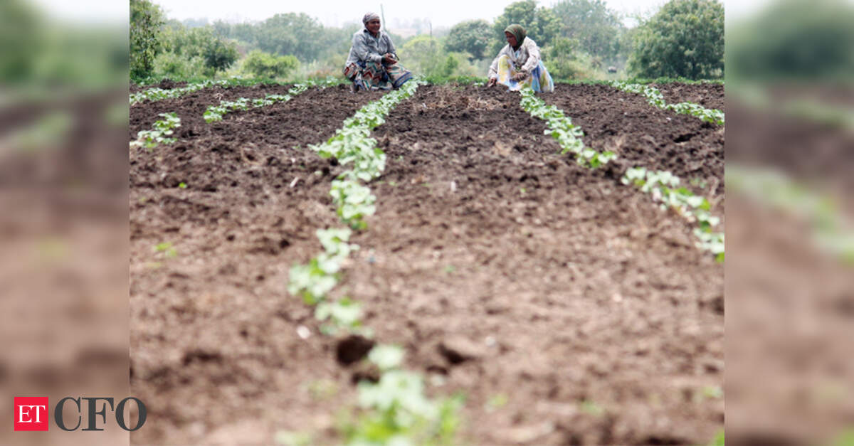 India facing 41 pc rainfall deficit as southwest monsoon stalls over Maharashtra