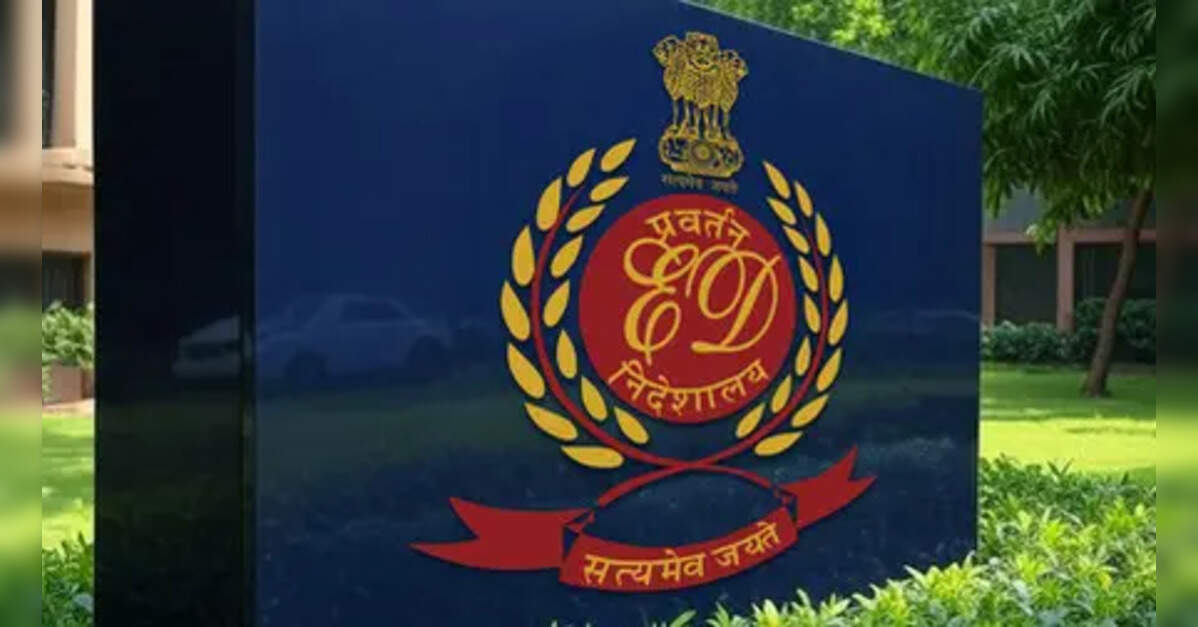 ED searches B'luru crypto firms, detects alleged FEMA violations exceeding Rs 2,500cr