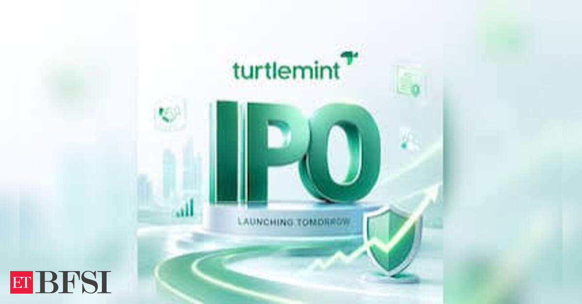 Turtlemint Fintech IPO gets subscribed 52 pc on day 2