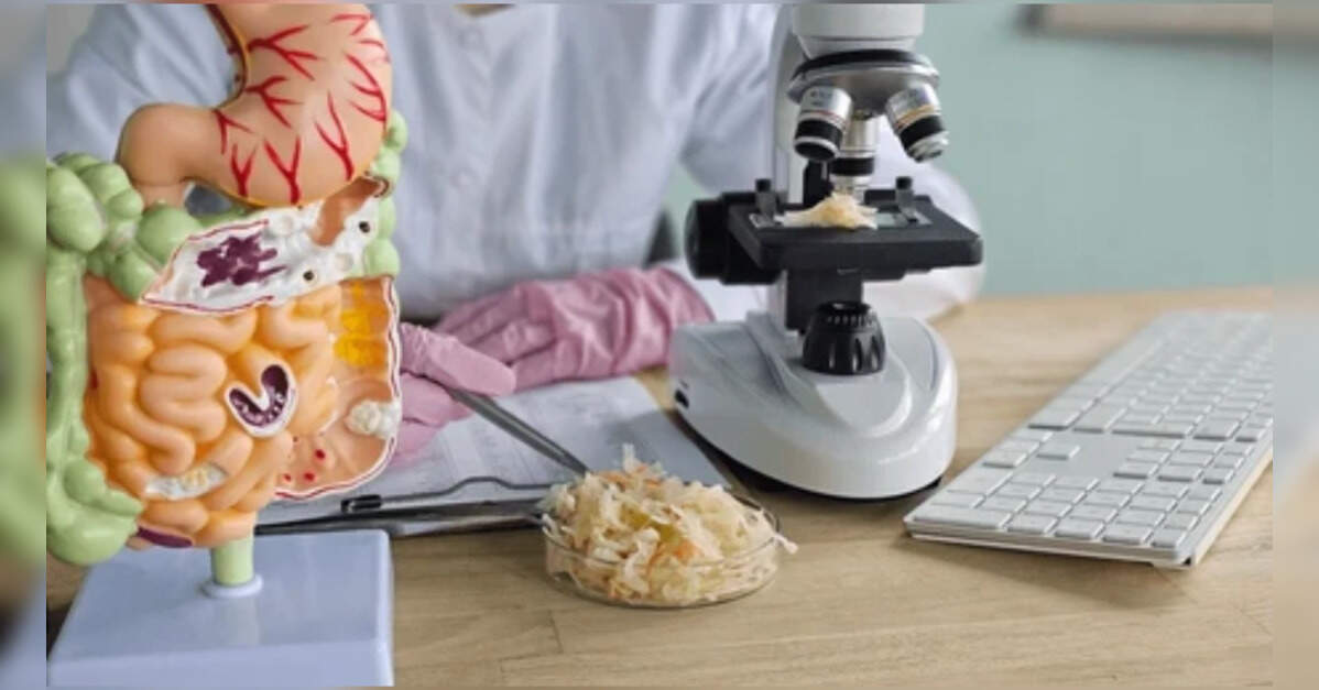Study of gut microbiomes reveals link between low fibre intake, colorectal cancer