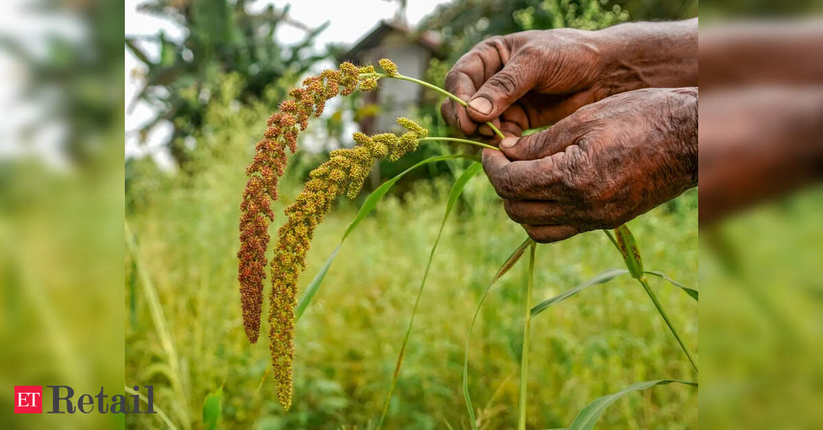 Pocket pinch: Rising millet prices may raise cost of packaged food