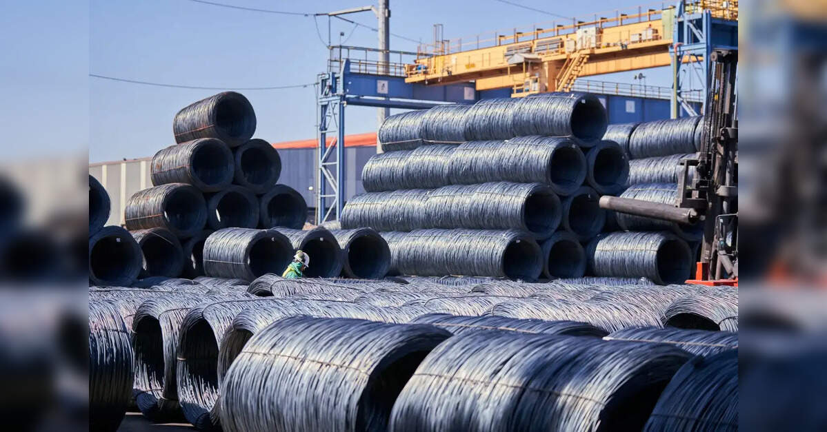 Tata Steel wins clearance to lift TM International Logistics holding to 74%