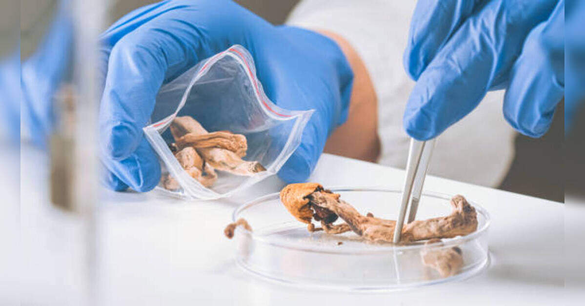 Psychedelic drug shows promise for preventing chemotherapy-induced nerve damage