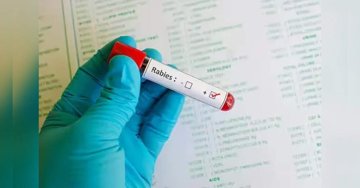 India Struggles to Meet 2030 Rabies Elimination Targets Despite Success in Chile and Bhutan, ETHealthworld