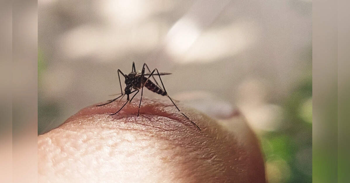 Dengue, malaria cases surge in Delhi, triple since August, ETHealthworld