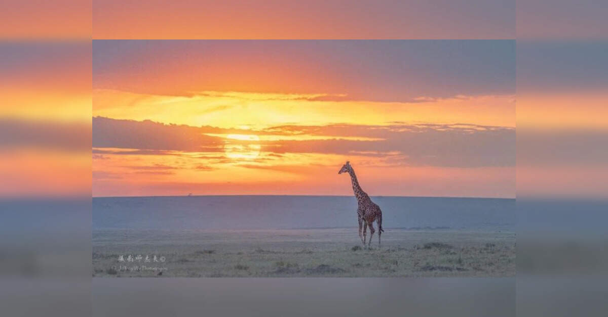Kenya Visitor Insurance Requirement: Kenya Mandates Visitor Health ...