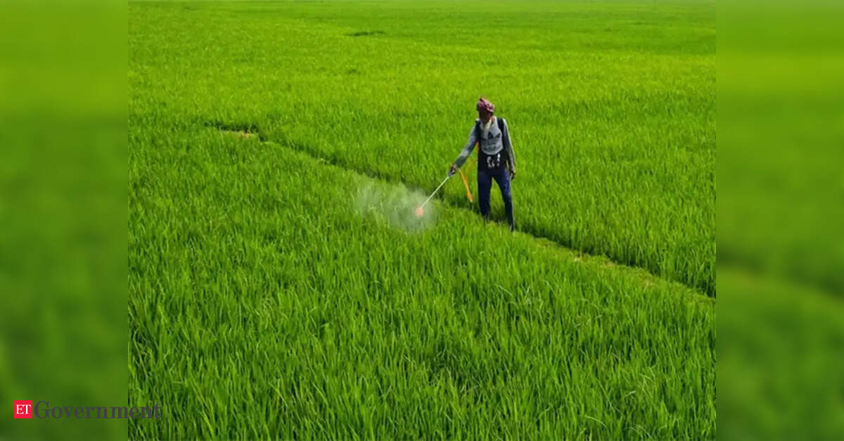 Rajasthan Ensures Adequate Fertiliser Supply Amidst Rising Concerns ...