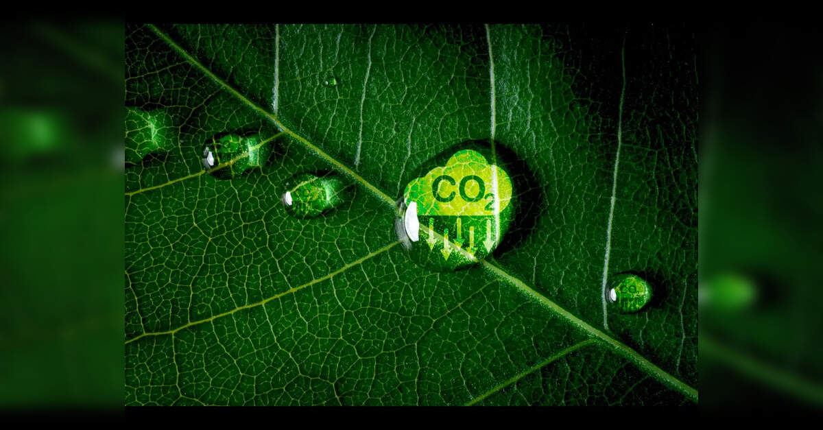 India, EU step up talks on carbon markets and emissions tracking ...