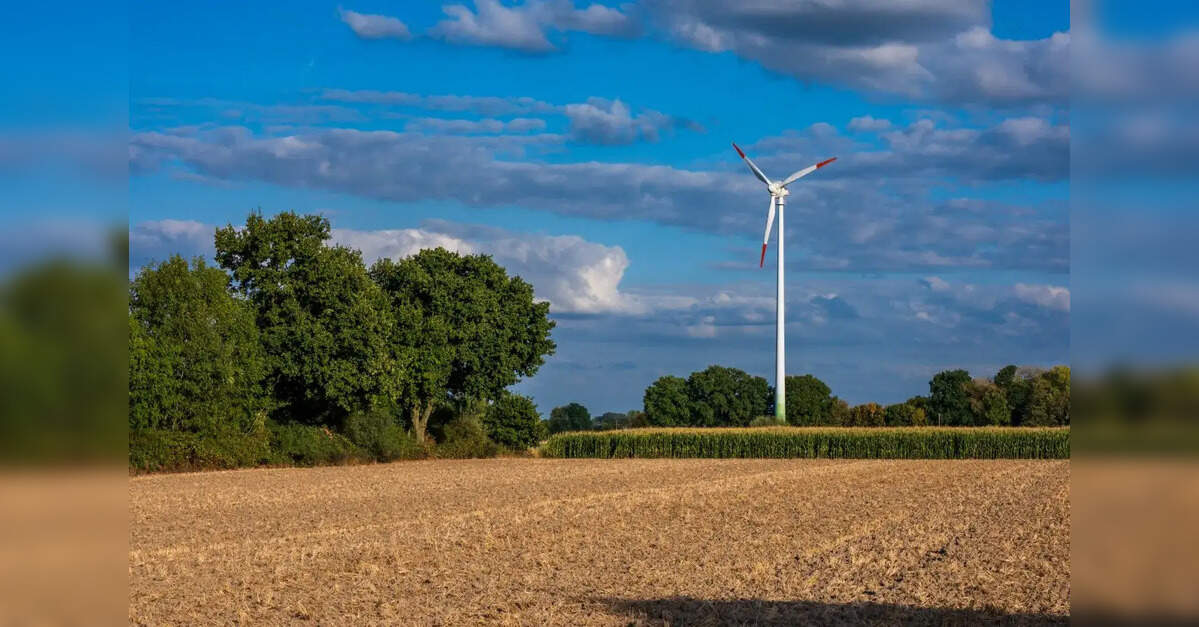September RIN generation eases, but 2026 biofuel volumes stay ahead of ...