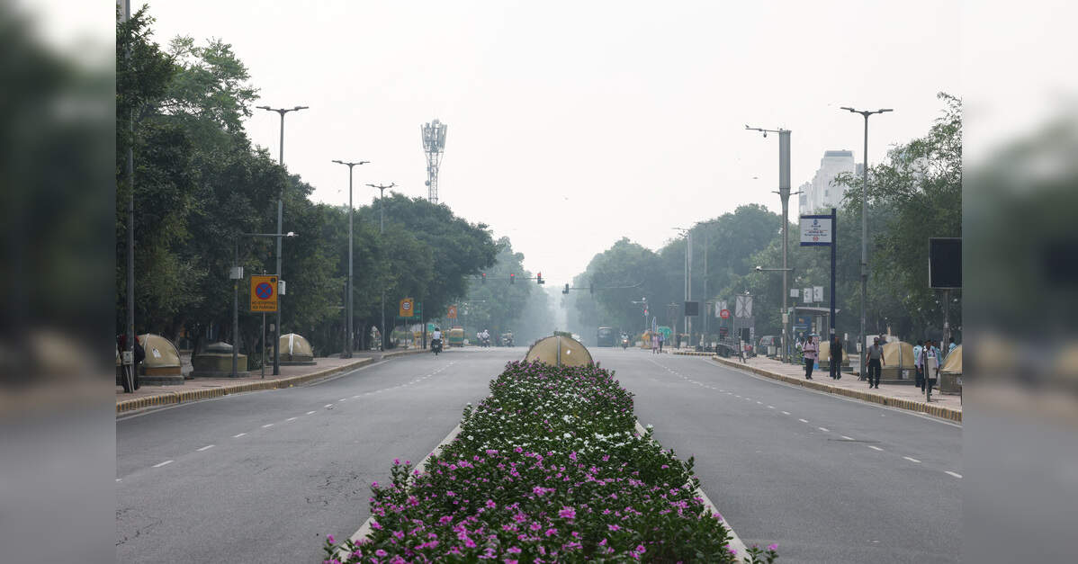 Delhi's Innovative Plan for Pedestrian-Only Shadow Roads, ETInfra