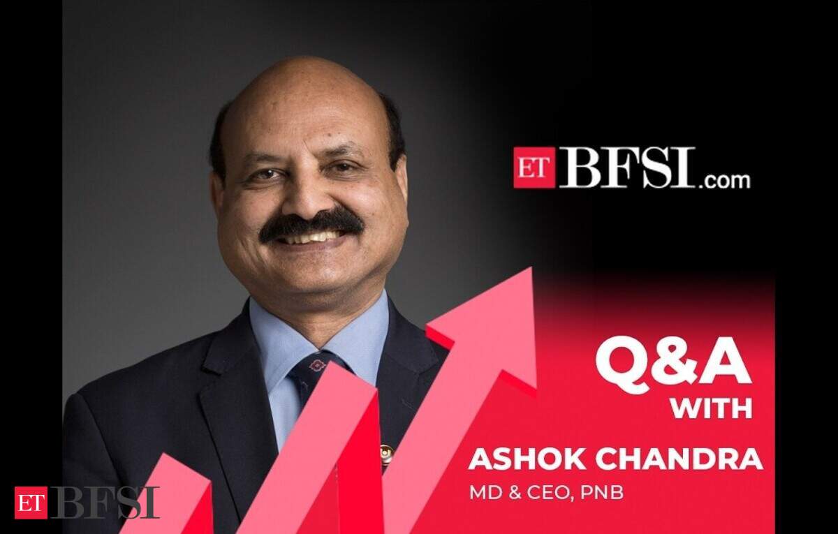PNB expects credit card business to generate Rs 200 crore quarterly ...