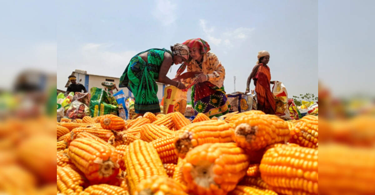 Govt should hike maize-based ethanol procurement rate by 9% to ₹75 per ...