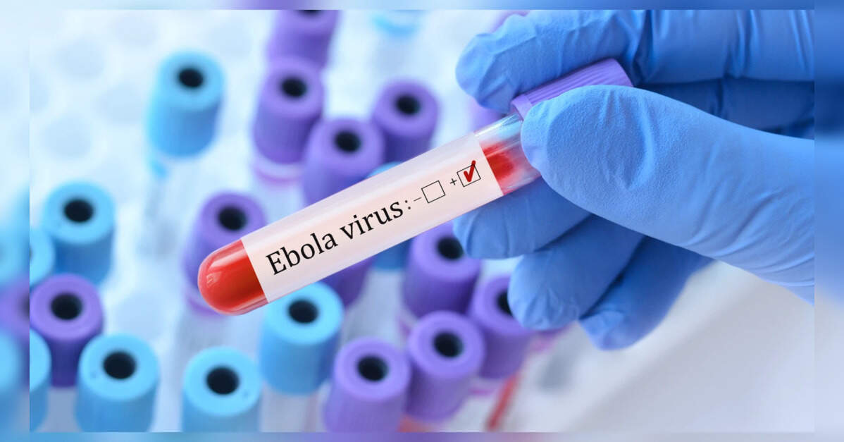 Congo's Ebola cases surpass 10,000 as fears grow of wider African spread