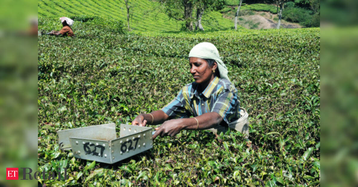 Tamil Nadu Tea Plantation Corporation to increase retail turnover, ETRetail