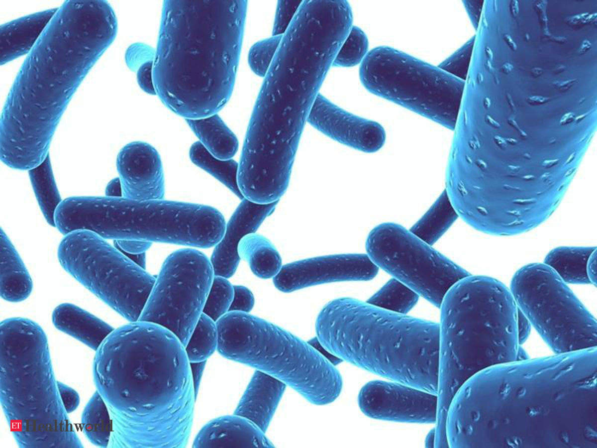 Бифидобактерии. Bifidobacterium longum. Lactobacillus reuteri фото. Bifidobacterium animalis subsp. Lactis hn019. Bifidobacterium Tathimfarm.