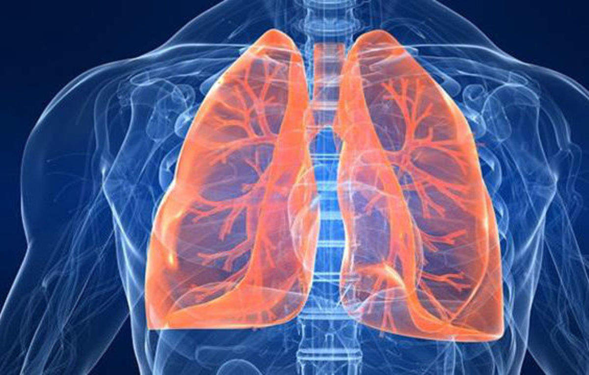 Delhi : 1 in four of those tested have bad ‘lung health’, Health News ...