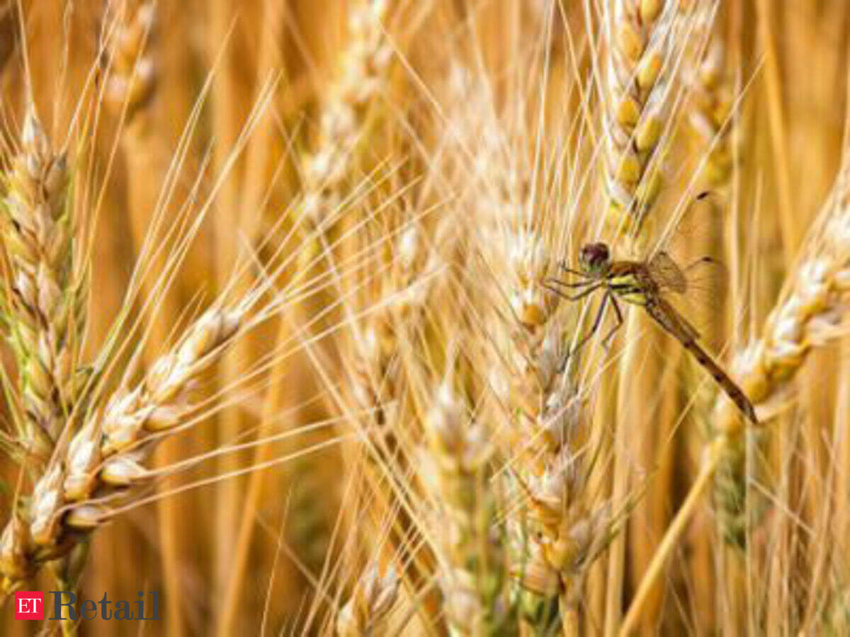 cargill corn milling locations