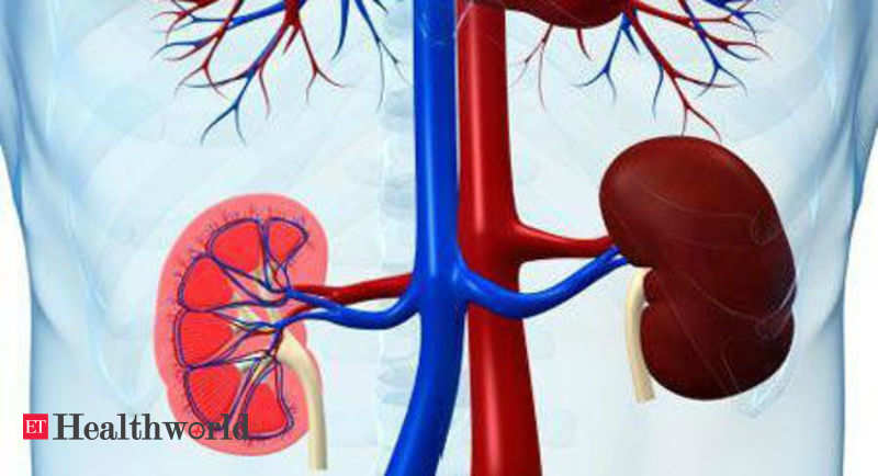 Coimbatore Govt Hosp To Offer Less Painful Treatment For Kidney Stones Health News Et Healthworld