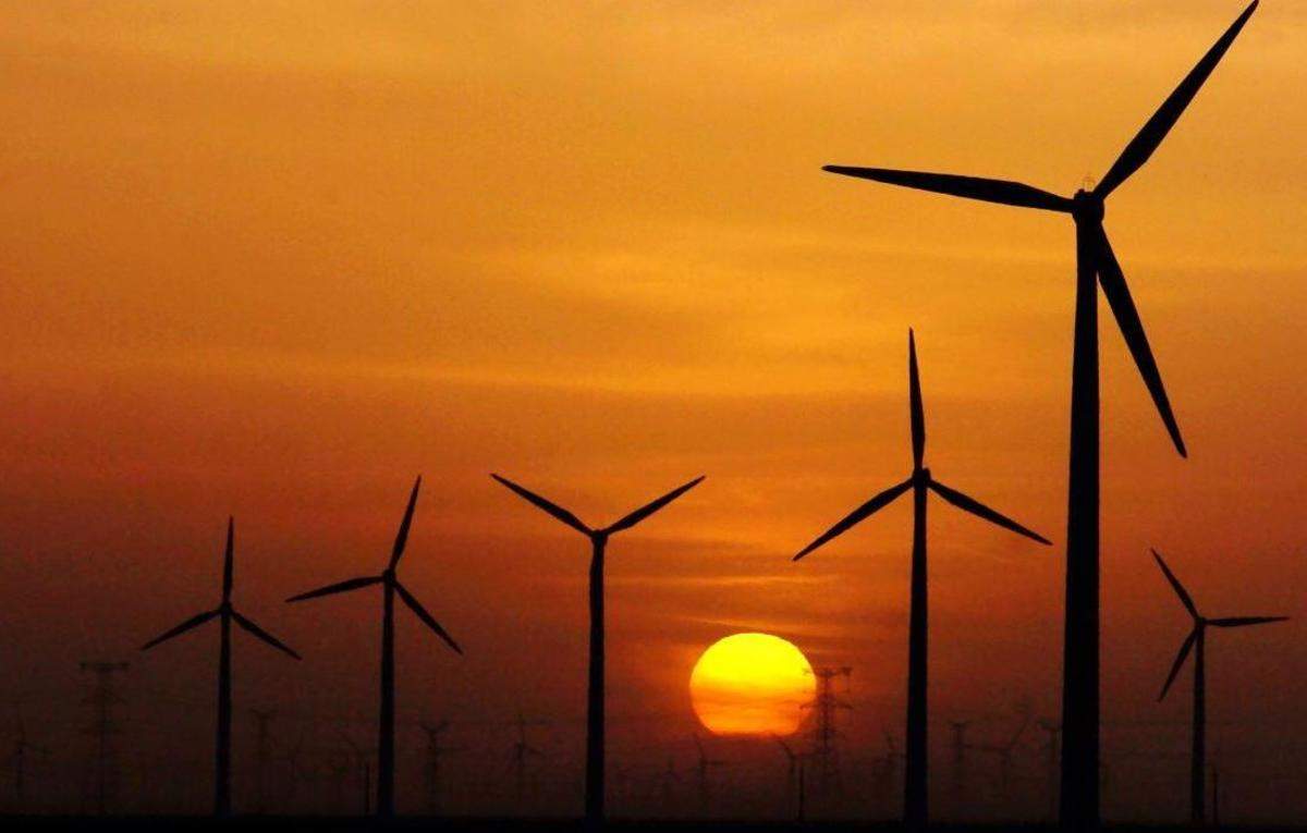 what-to-expect-from-india-s-top-renewable-energy-stocks-in-2022