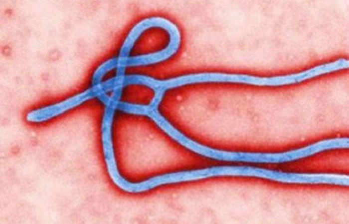 Hepatitis drug can help cut Ebola death rate - ETHealthworld.com