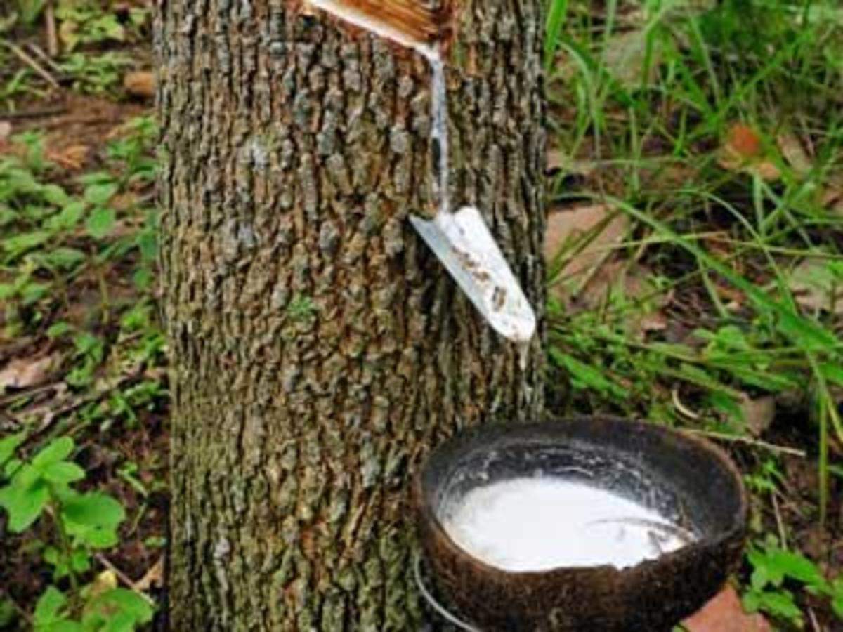 India natural rubber production sees signs of revival, Auto News, ET Auto