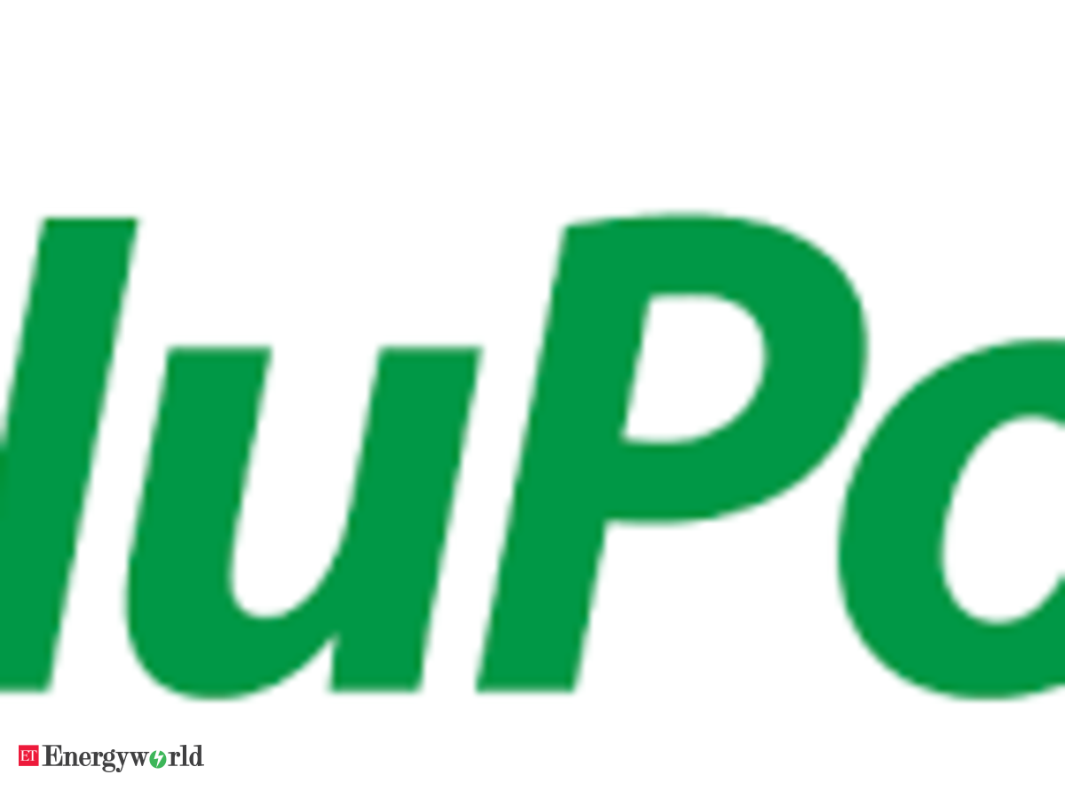 Nupower Renewables Icici Bank Loan Case Cbi Questions Cfo Of