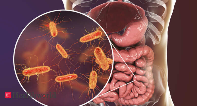 University Of Virginia Unhealthy Gut Promotes Breast Cancer Spread 