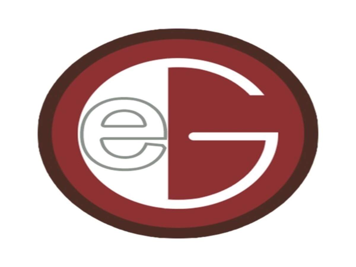 National E Governance Logo E Governance Academy | LinkedIn