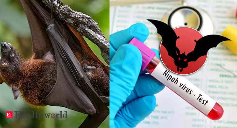 Nipah is a serious disease with high morbidity, mortality: AIIMS top expert – ET HealthWorld