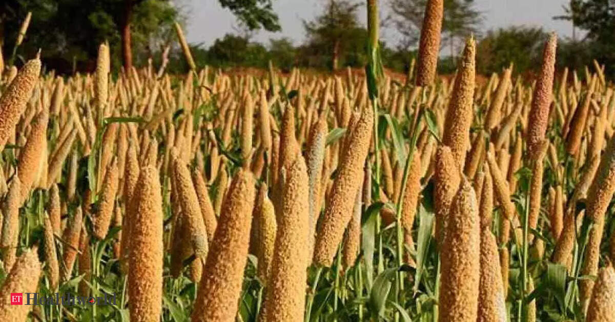 Plant Diseases New disease in millet crop in Haryana identified