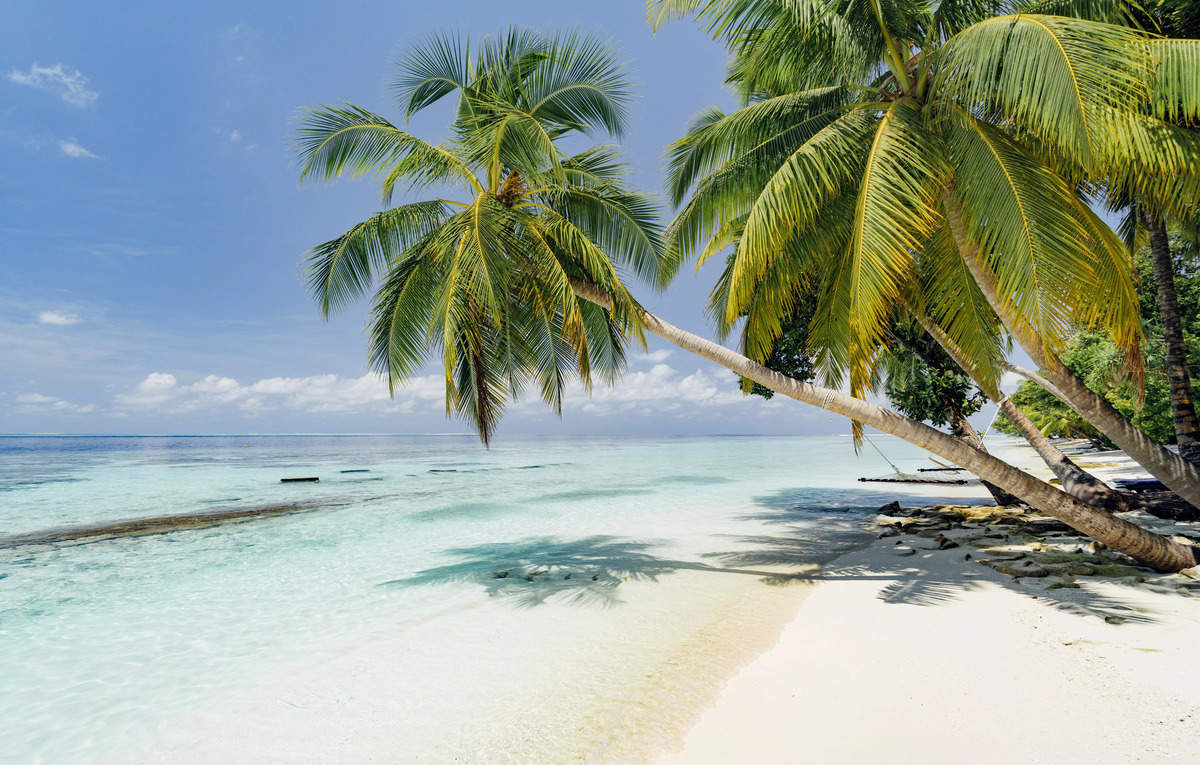 Maldives economy rebounds as tourists return, ET TravelWorld News, ET ...