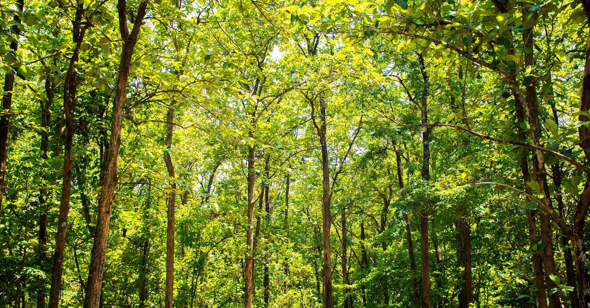 eco tourism protected area