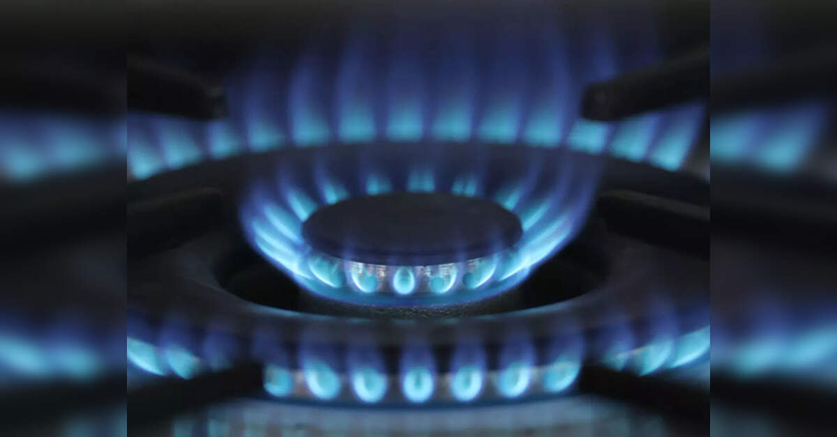 Indian Oil Corporation, Adani Total Gas top bidders for city gas ...